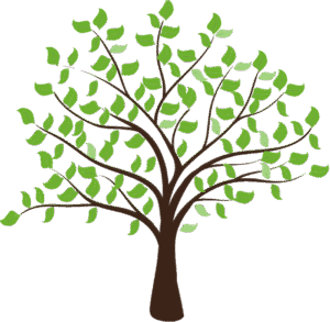 Grace Life Celebrations